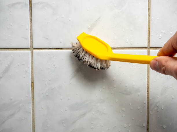 Best Local Mold Removal Service  in Northlake, SC