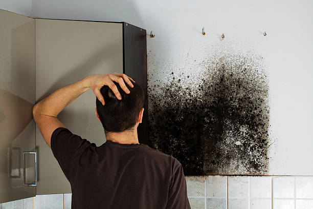 Crawl Space Mold Removal in Northlake, SC